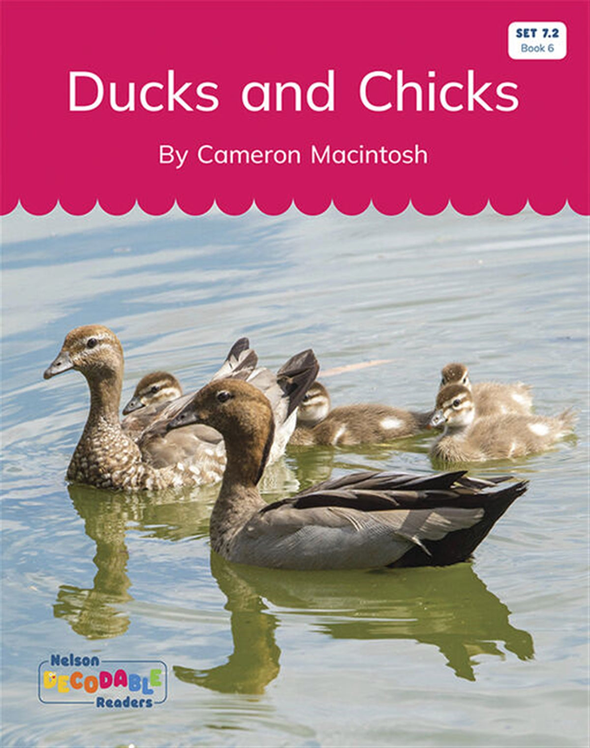 Ducks and Chicks (Set 7.2, Book 6) - Nelson Decodable Readers