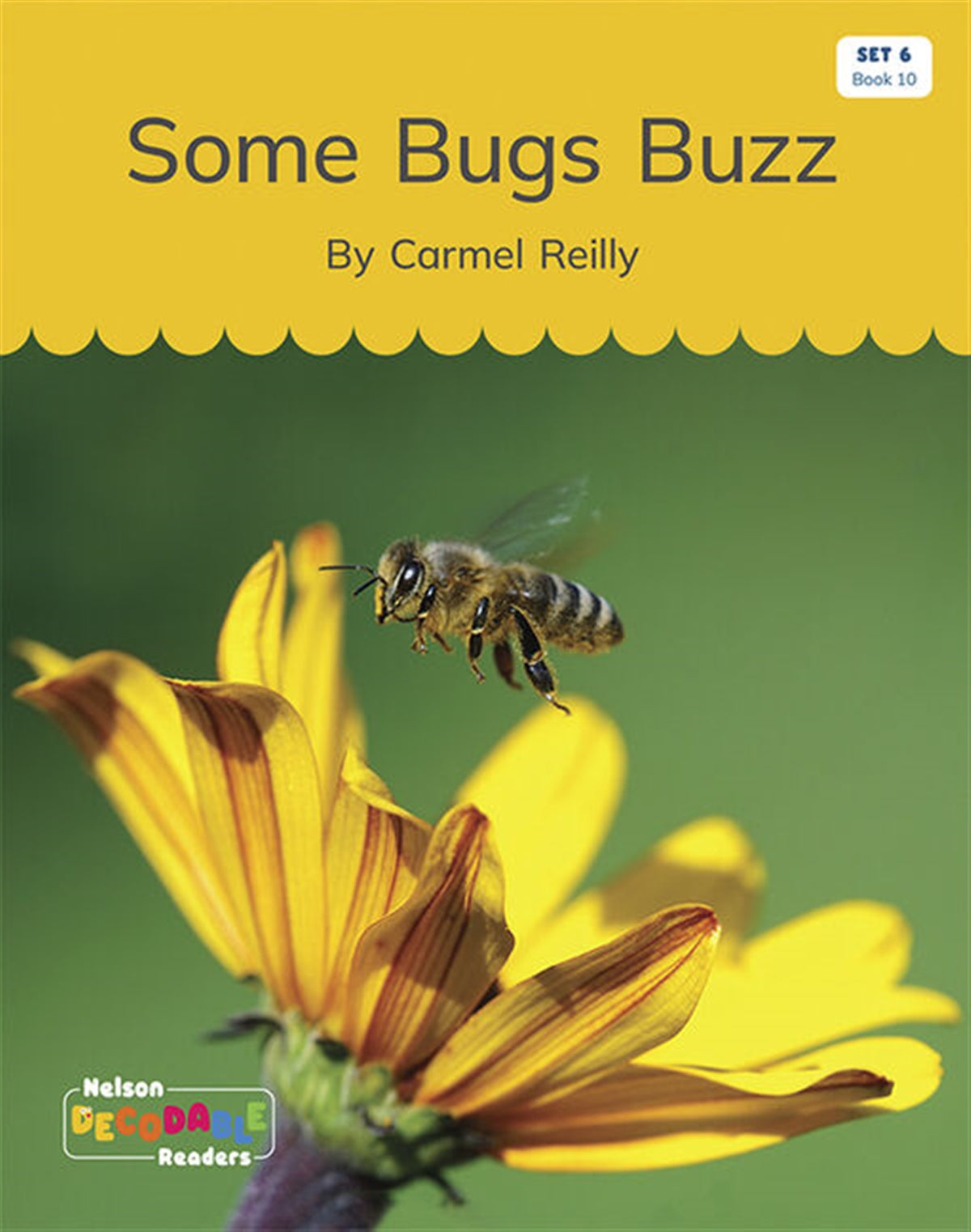Some Bugs Buzz! (Set 6, Book 10) - Nelson Decodable Readers
