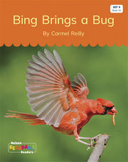 Bing Brings a Bug (Set 9, Book 10) - Nelson Decodable Readers