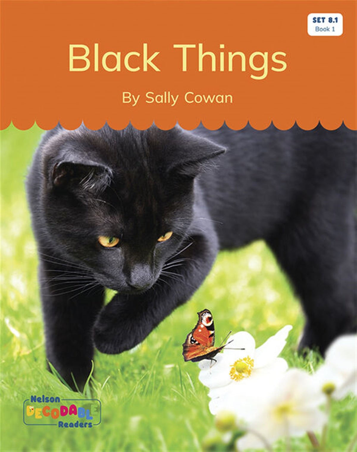 Black Things (Set 8.1, Book 1) - Nelson Decodable Readers