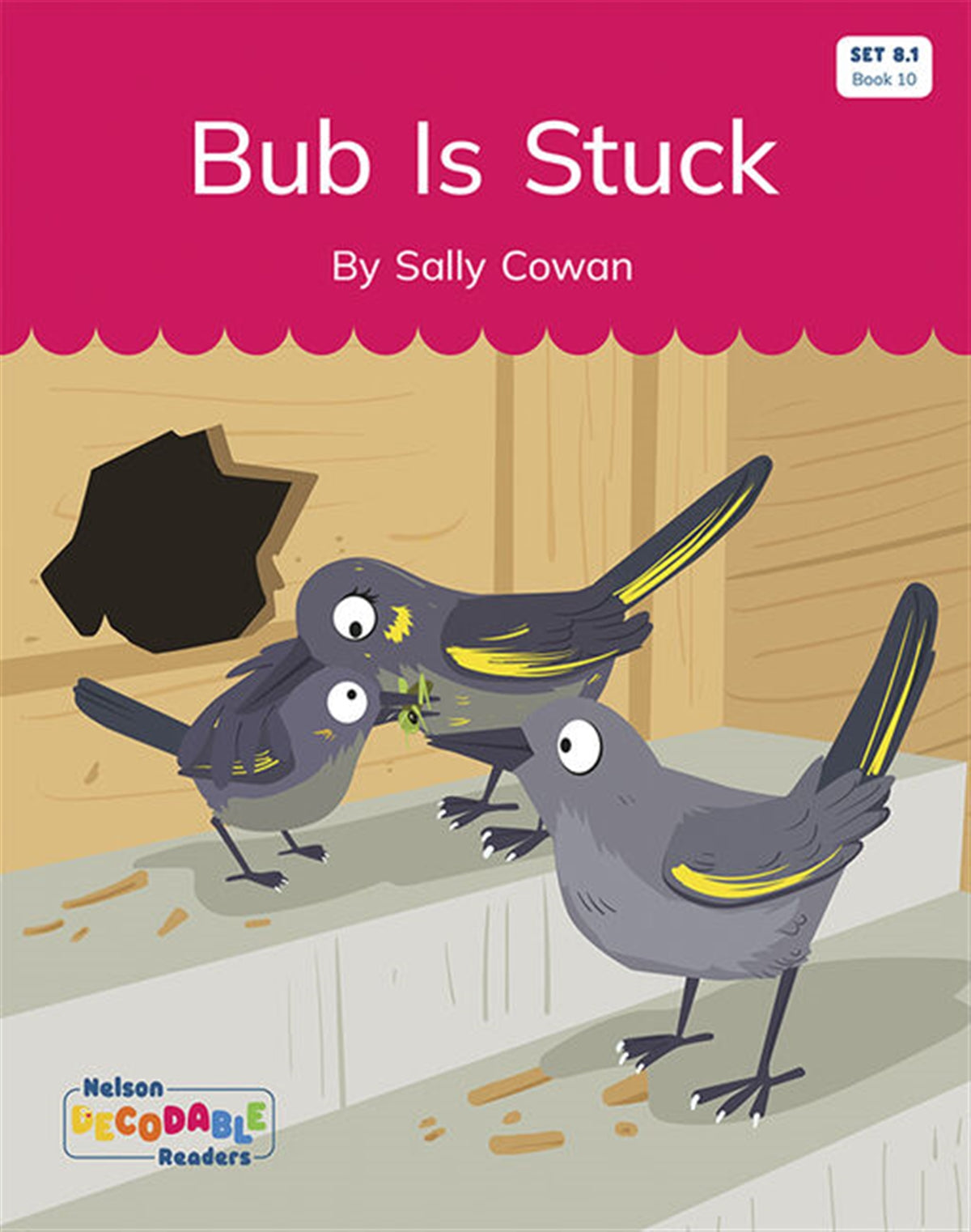 Bub Is Stuck (Set 8.1, Book 10) - Nelson Decodable Readers