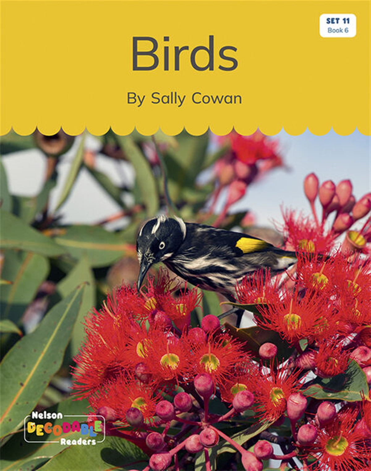 Birds (Set 11, Book 6) - Nelson Decodable Readers
