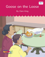 Goose on the Loose (Set 12, Book 1) - Nelson Decodable Readers