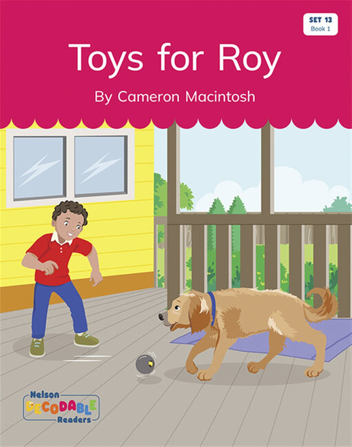 Toys for Roy (Set 13, Book 1) - Nelson Decodable Readers