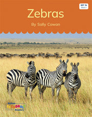 Zebras (Set 14, Book 2) - Nelson Decodable Readers