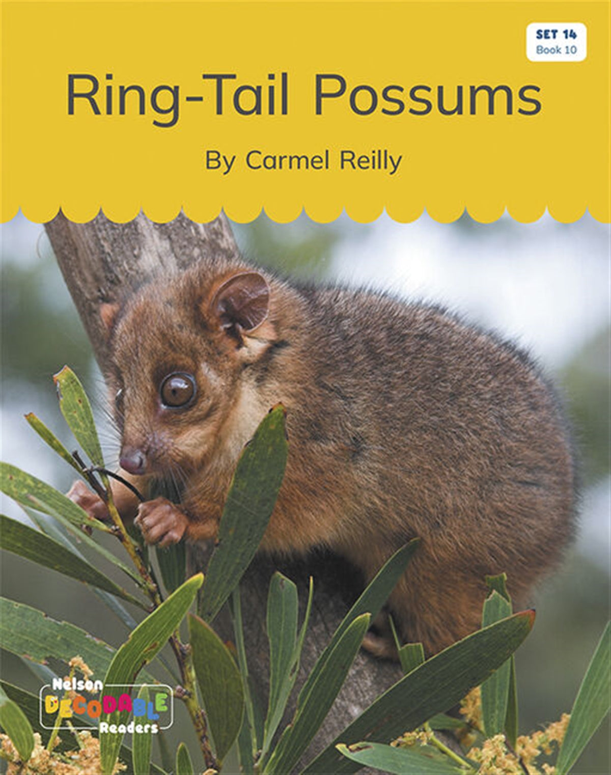 Ring-Tail Possums (Set 14, Book 10) - Nelson Decodable Readers