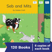 Nelson Decodable Readers - Set 2 Small Group Pack (120 Books)