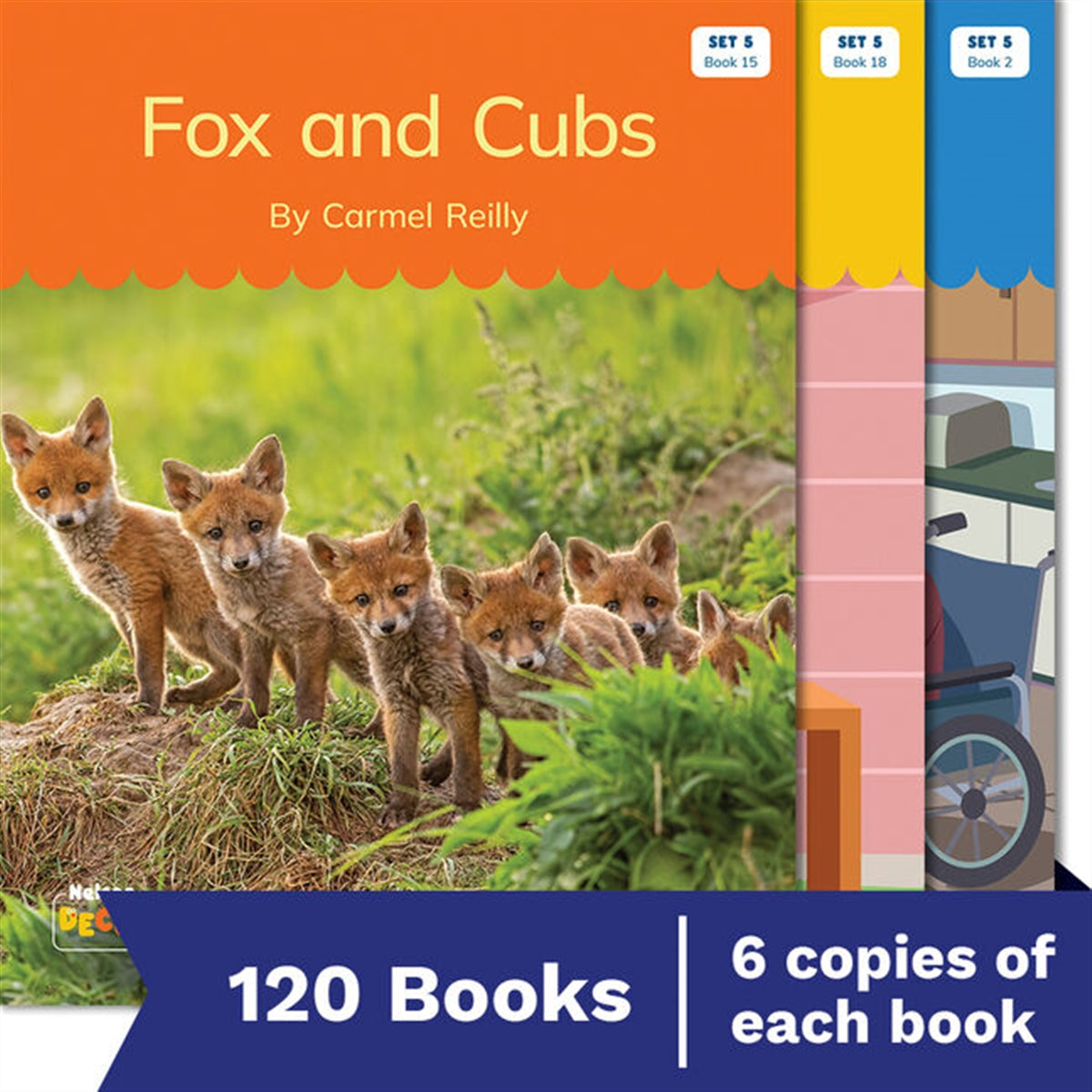 Nelson Decodable Readers - Set 5 Small Group Pack (120 Books)