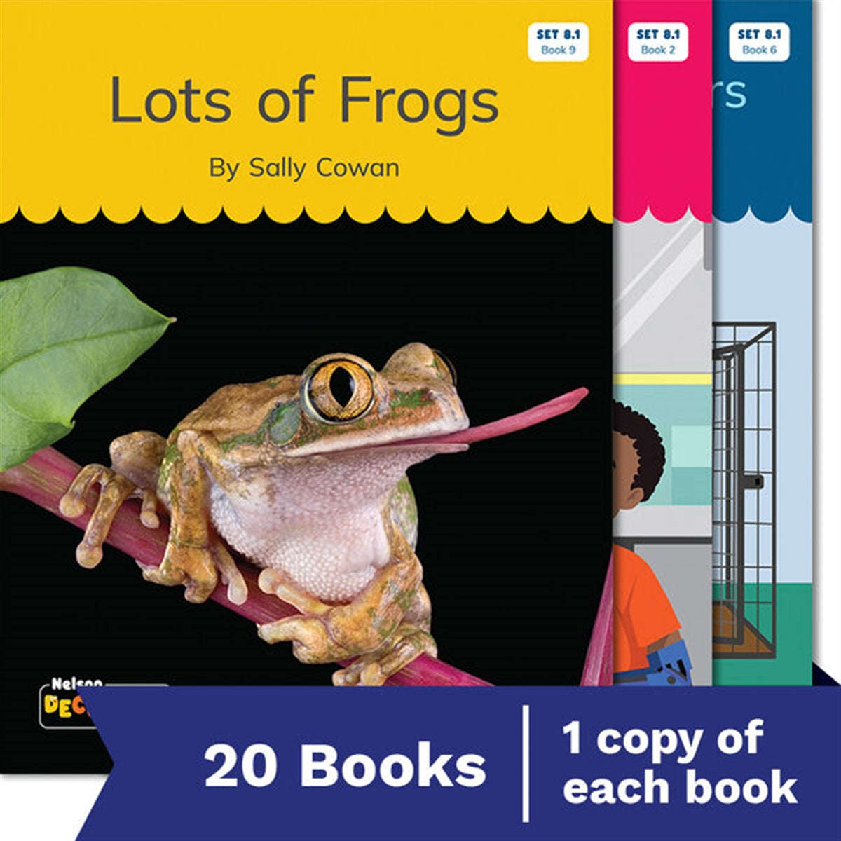Nelson Decodable Readers - Set 8 Set Pack (20 Books)