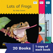 Nelson Decodable Readers - Set 8 Set Pack (20 Books)