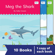 Nelson Decodable Readers - Set 11 Set Pack (10 Books)
