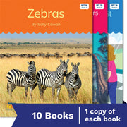 Nelson Decodable Readers - Set 14 Set Pack (10 Books)