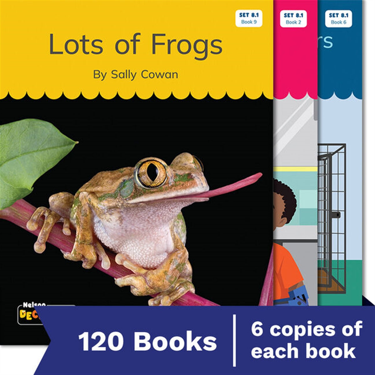 Nelson Decodable Readers - Set 8 Small Group Pack (120 Books)