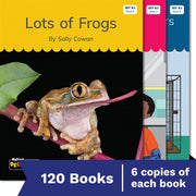 Nelson Decodable Readers - Set 8 Small Group Pack (120 Books)