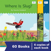 Nelson Decodable Readers - Set 9 Small Group Pack (60 Books)