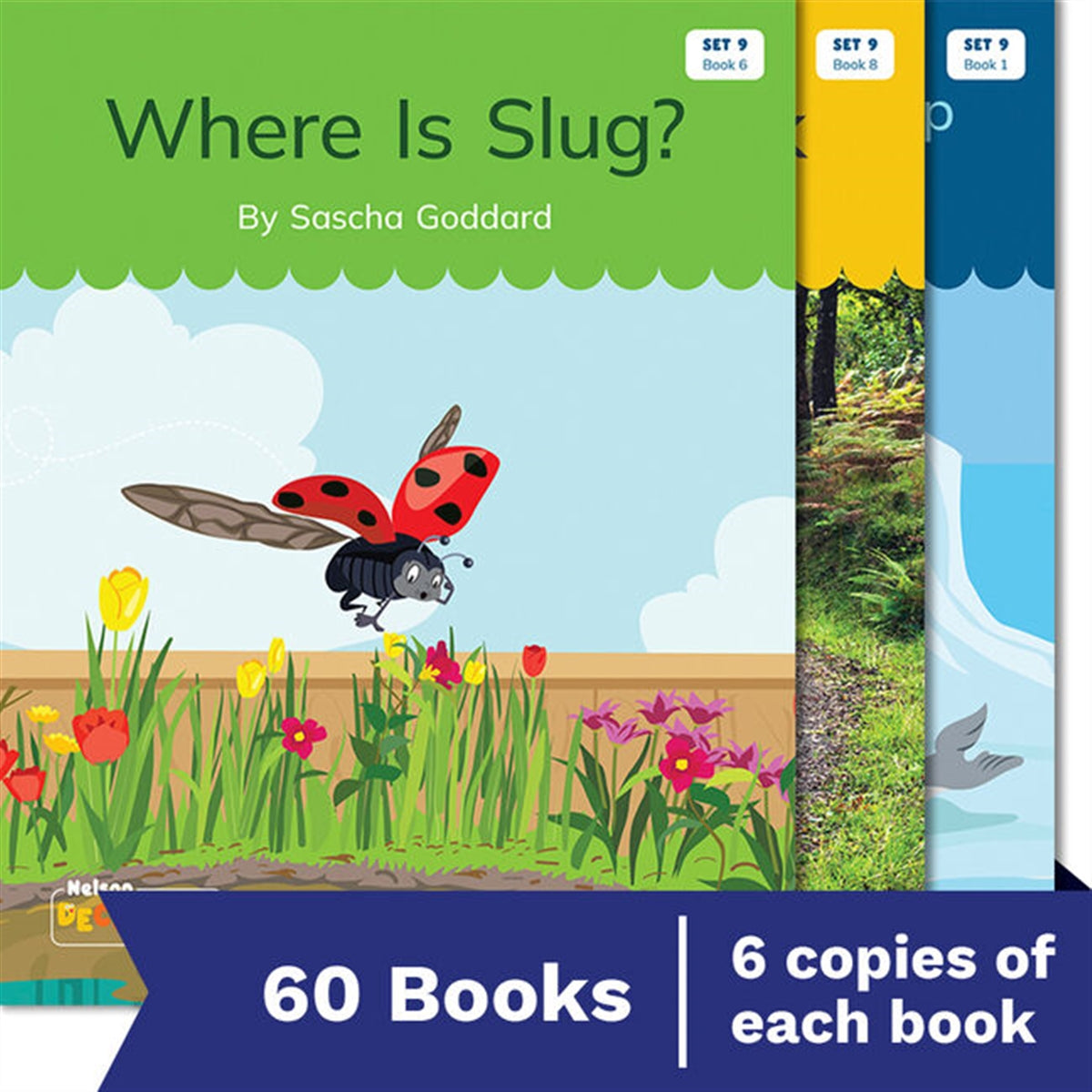 Nelson Decodable Readers - Set 9 Small Group Pack (60 Books)