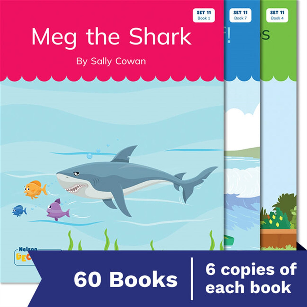 Nelson Decodable Readers - Set 11 Small Group Pack (60 Books)