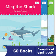 Nelson Decodable Readers - Set 11 Small Group Pack (60 Books)