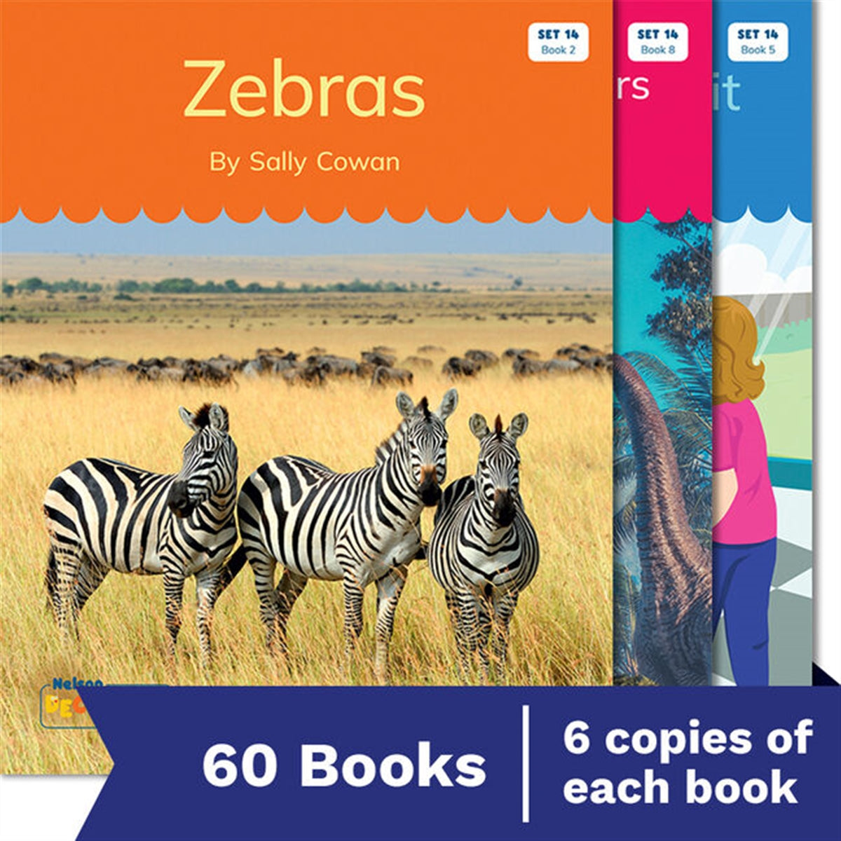 Nelson Decodable Readers - Set 14 Small Group Pack (60 Books)