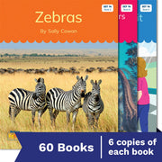 Nelson Decodable Readers - Set 14 Small Group Pack (60 Books)