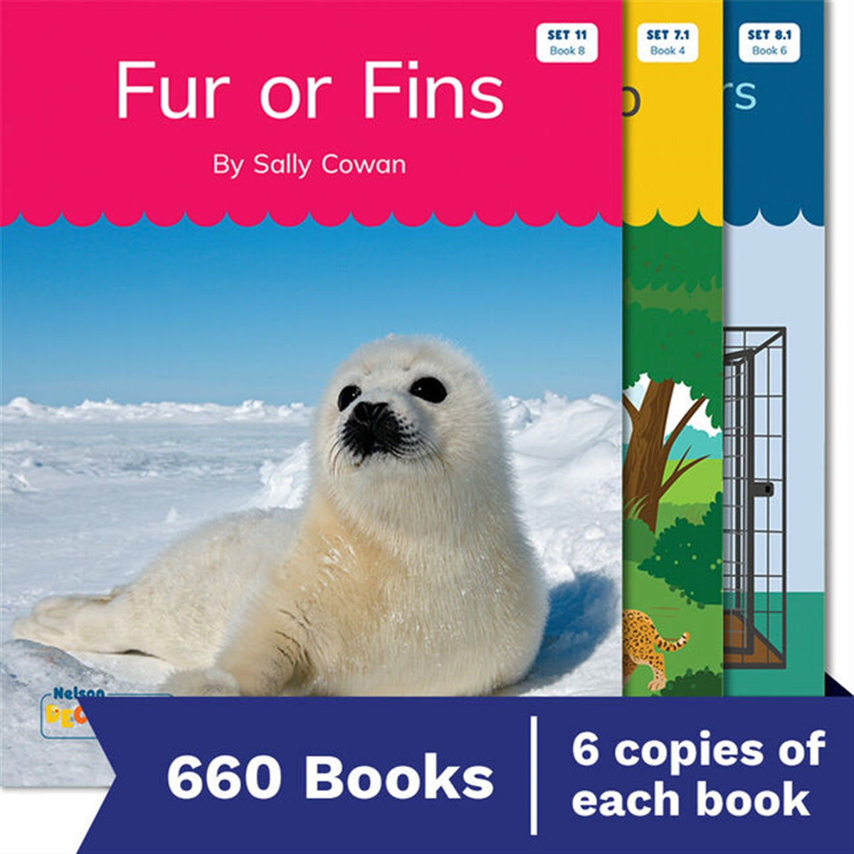 Nelson Decodable Readers - Sets 6 to 14 Classroom Set Pack (660 Books)