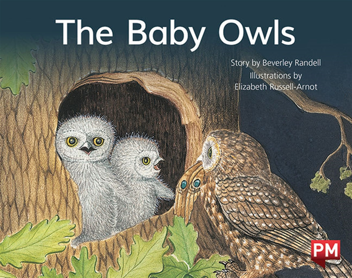 The Baby Owls