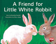 A Friend for Little White Rabbit