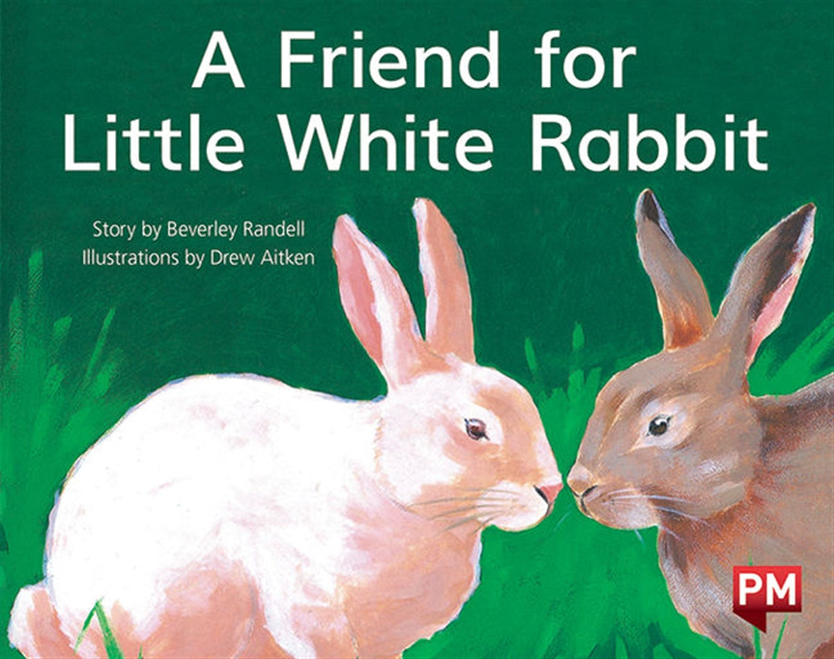 A Friend for Little White Rabbit