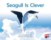 Seagull is Clever