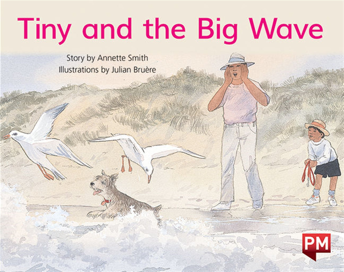 Tiny and the Big Wave