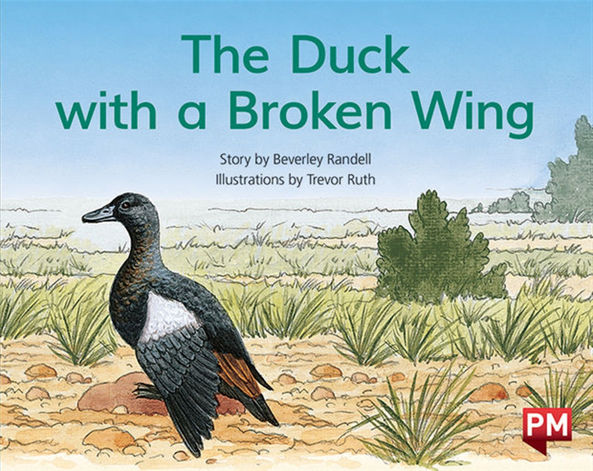 The Duck with the Broken Wing