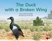 The Duck with the Broken Wing