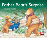 Father Bear's Surprise