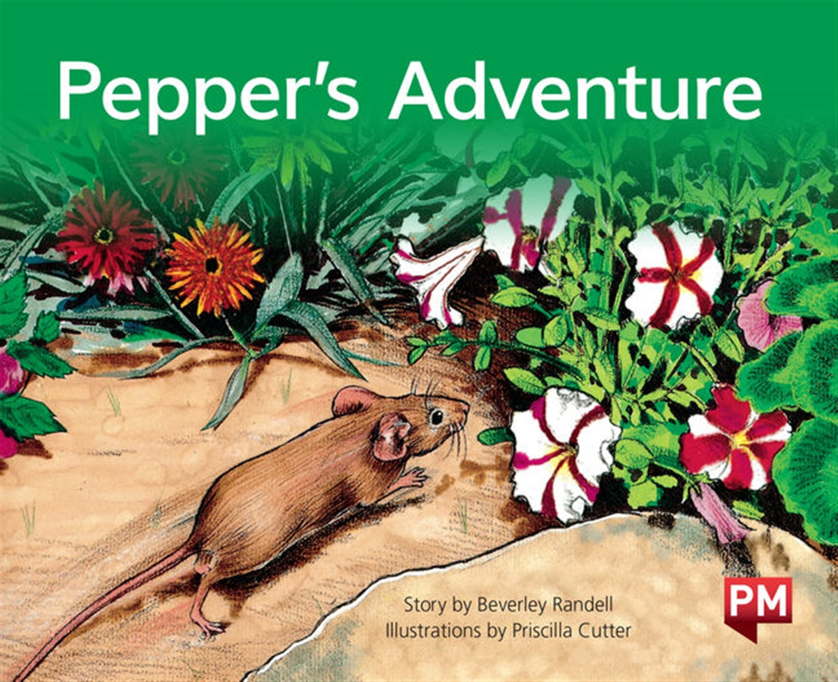 Pepper's Adventure