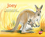 Joey