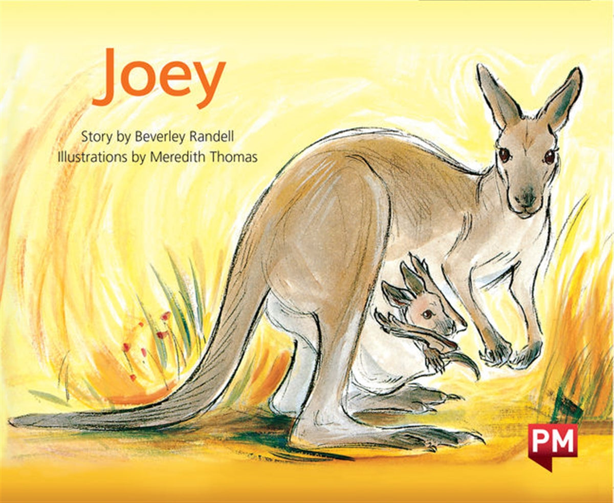 Joey