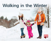 Walking in the Winter