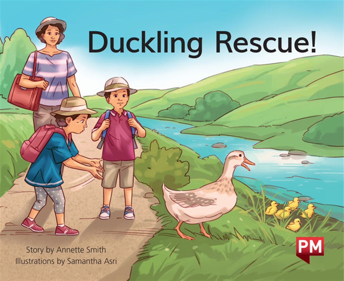 Duckling Rescue