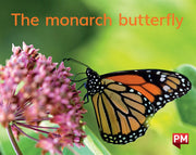 The monarch butterfly
