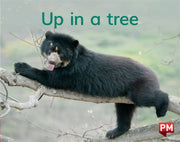 Up in a tree