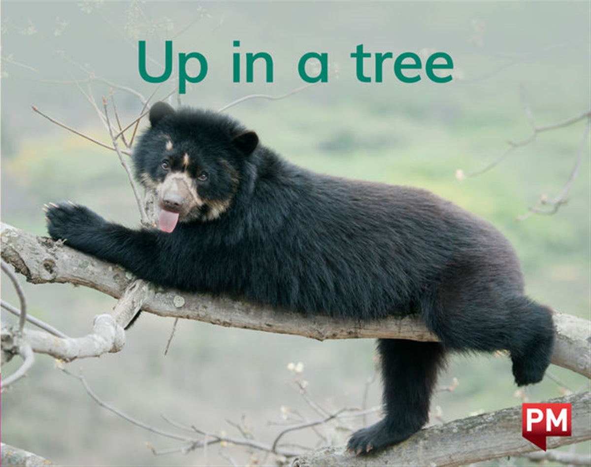 Up in a tree