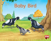 Baby Bird