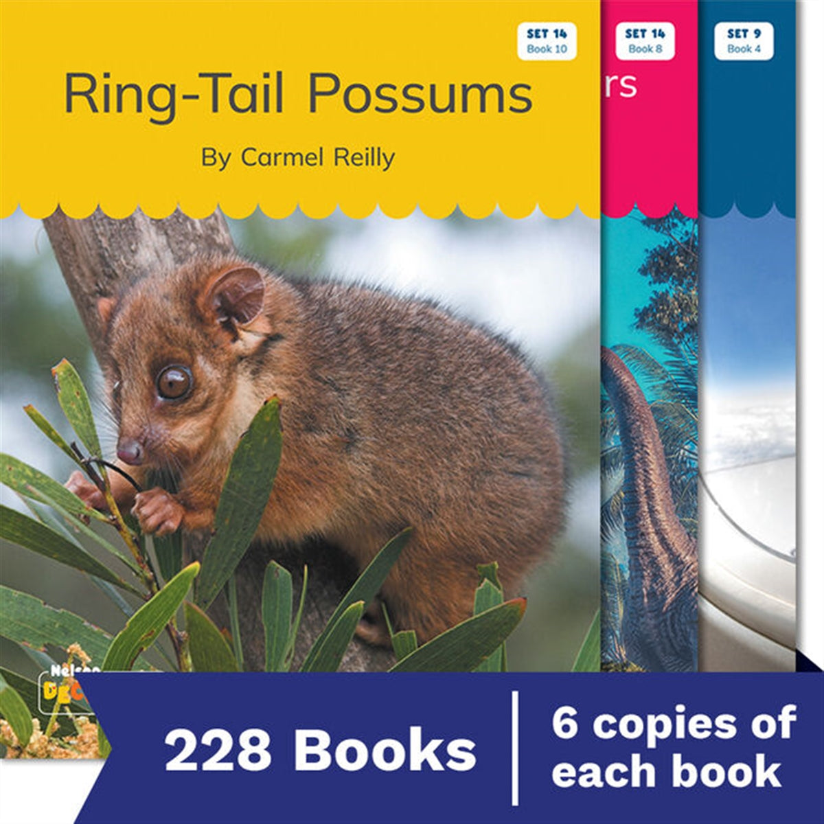 Nelson Decodable Readers - Sets 6-14 Non-Fiction Pack (228 Books)