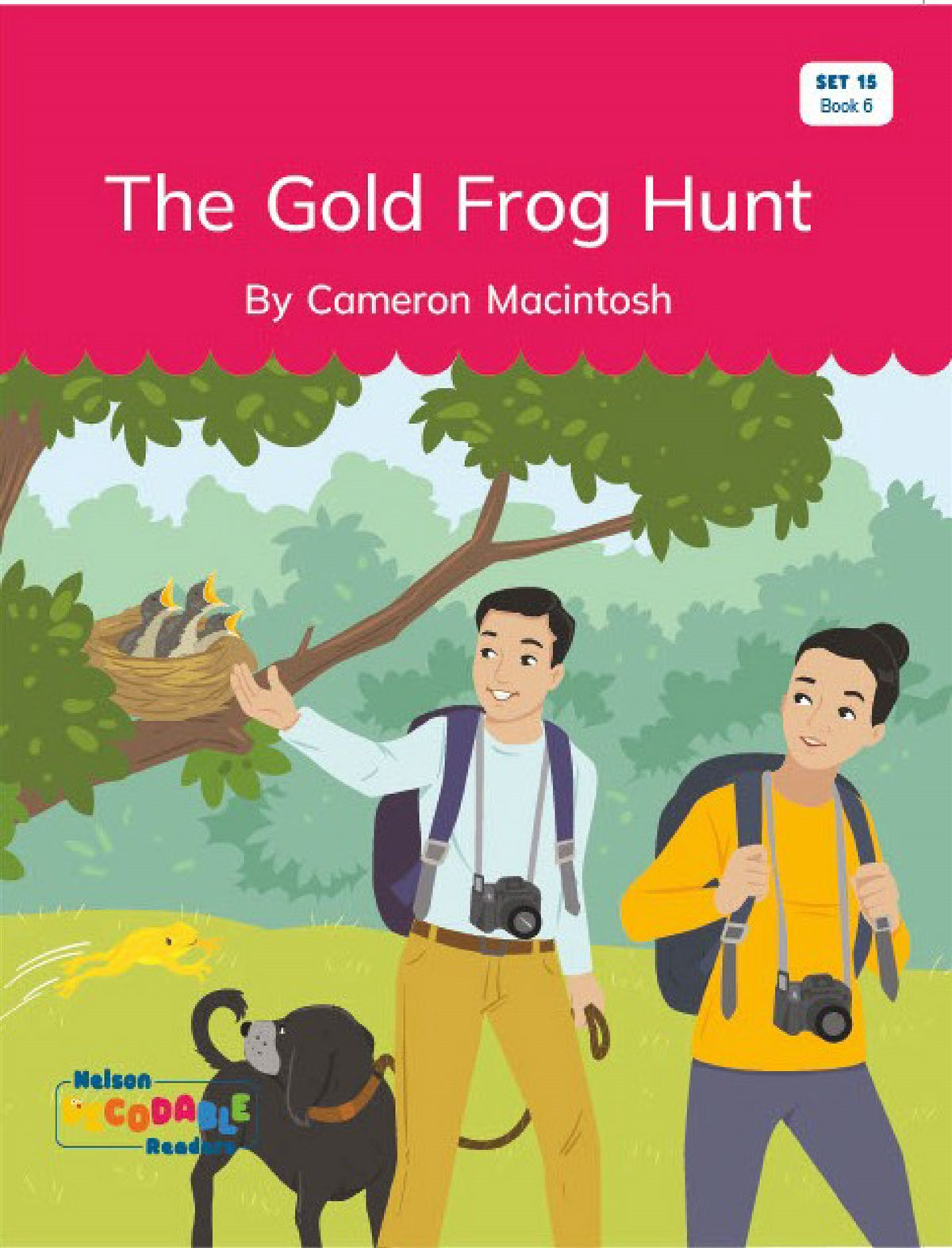 The Gold Frog Hunt (Set 15, Book 6) - Nelson Decodable Readers