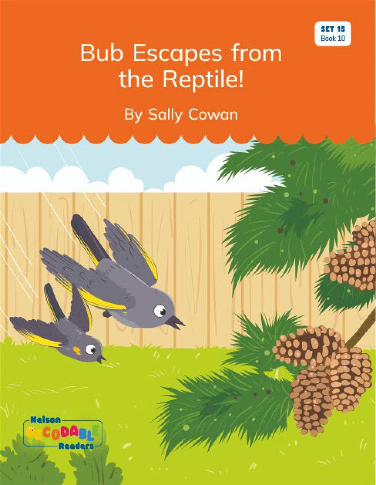 Bub Escapes from the Reptile! (Set 15, Book 10) - Nelson Decodable Readers