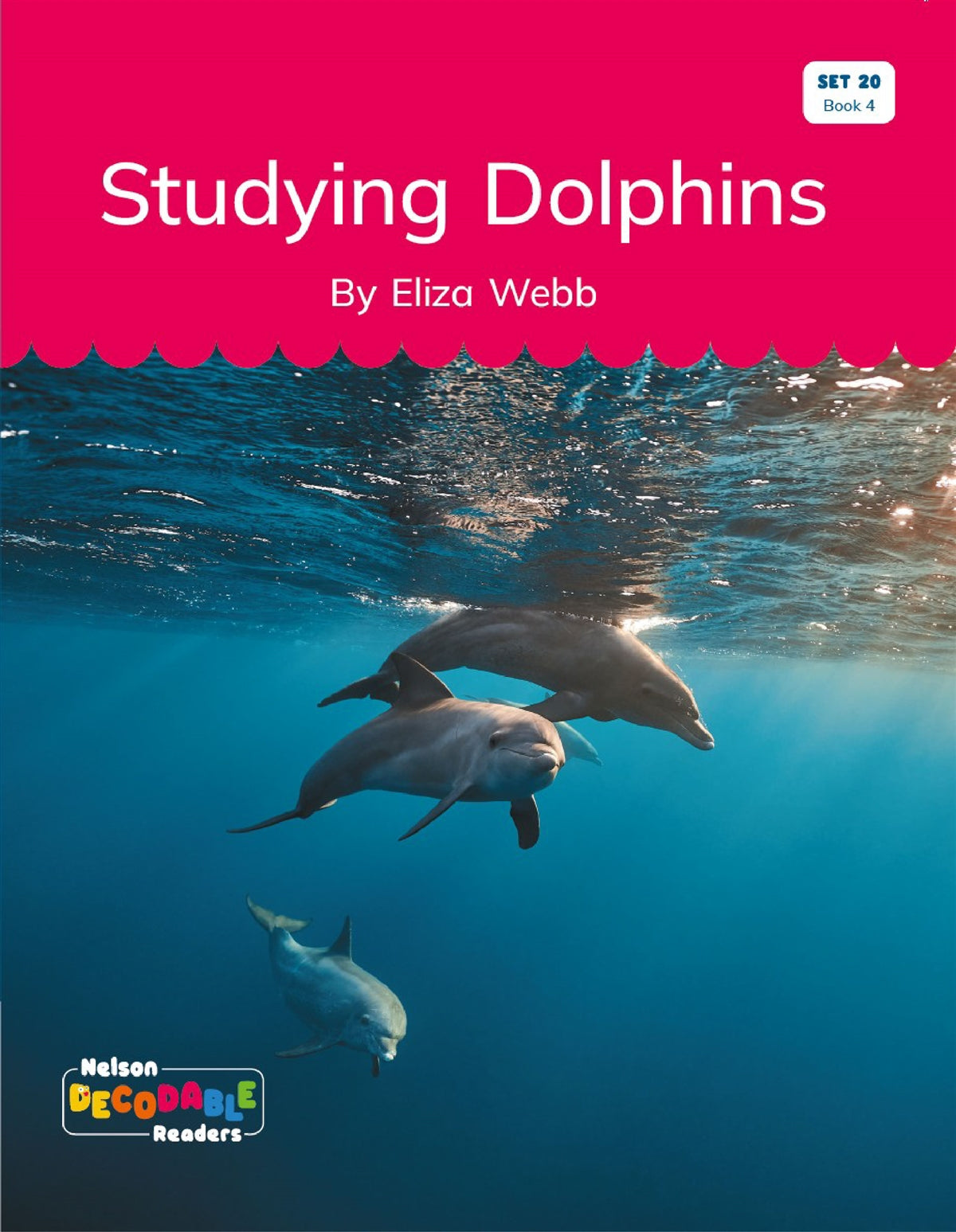Studying Dolphins (Set 20, Book 4) - Nelson Decodable Readers