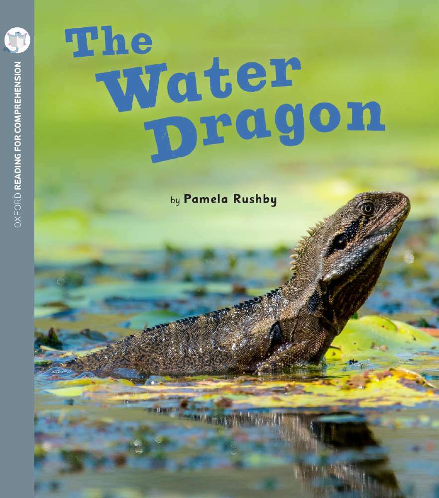 Oxford Reading for Comprehension - Level 2: The Water Dragon (Pack of 6)