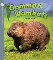 Oxford Reading for Comprehension - Level 2: Common Wombats (Pack of 6)