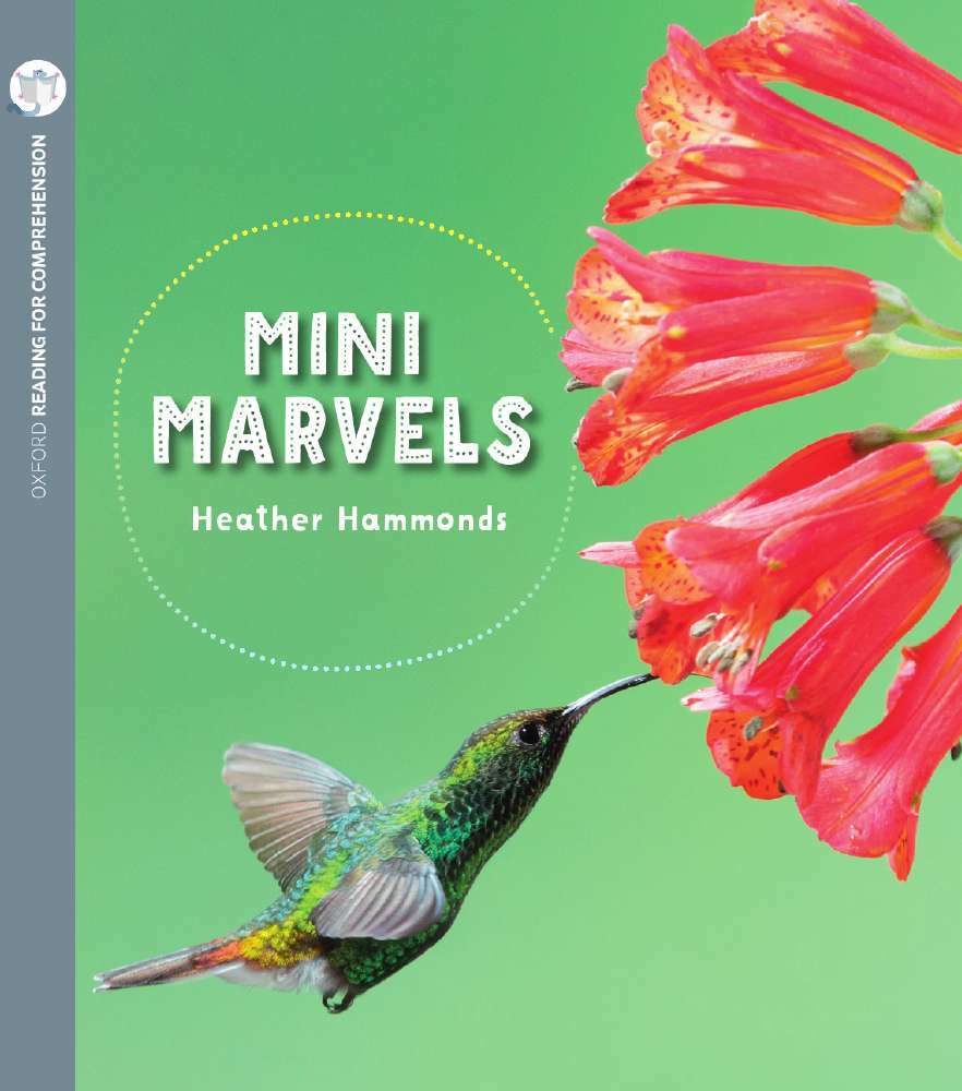 Oxford Reading for Comprehension - Level 9: Mini Marvels (Pack of 6)