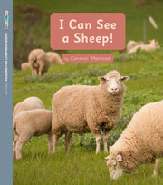 ORFC Oxford Decodable Book 20 - I Can See a Sheep! (Pack of 6)